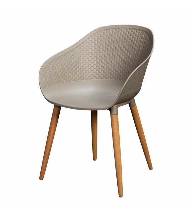 Beach7 Antibes  tuinstoel kunststof kuip, Eucalyptus poten