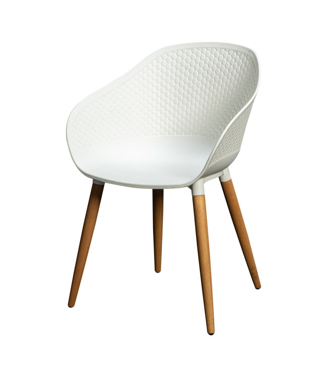 Beach7 Antibes  tuinstoel kunststof kuip, Eucalyptus poten