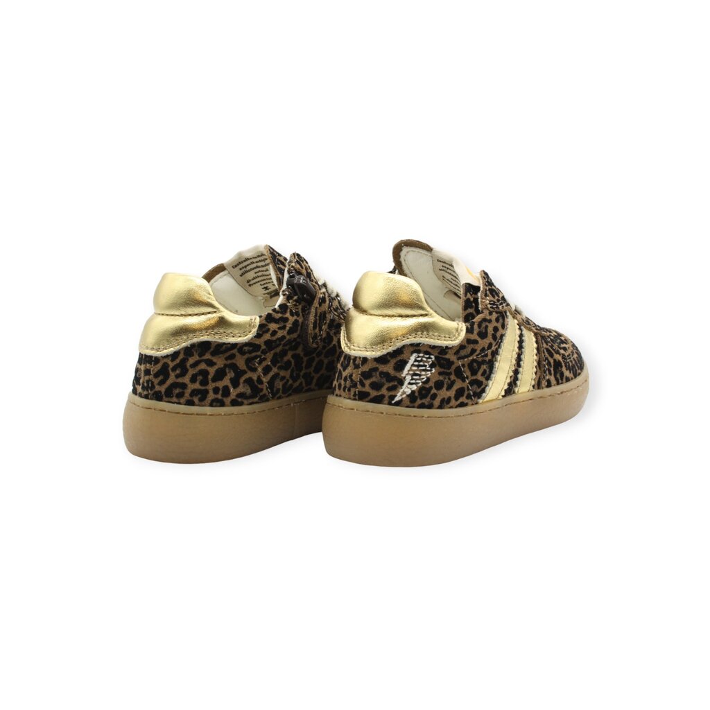 Gazelle ocra clearance
