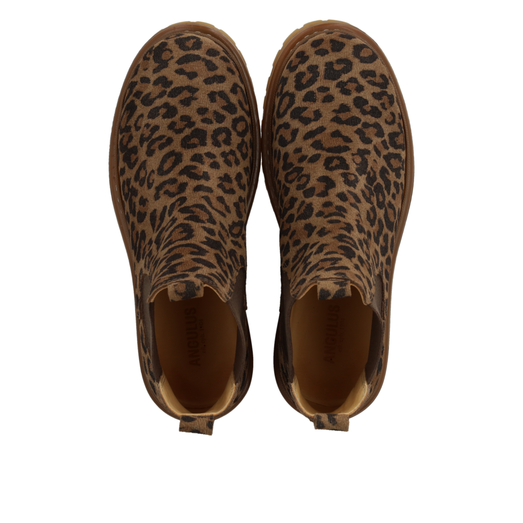 ANGULUS ANGULUS CHELSEA BOOT LEO BROWN