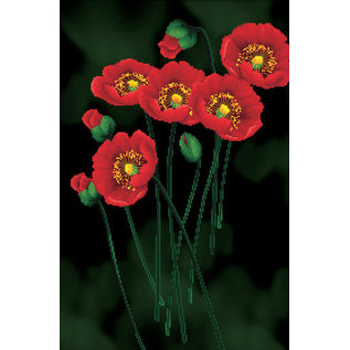 No-Count Kit Red Poppies on black 41x62cm