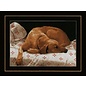 PROMO - Telpakket slapende hond LanArte