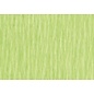 Crepepapier wit groen 250x50cm