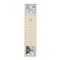 UNIVERSELE LINIAAL MET CM-SCHAAL 10x45cm