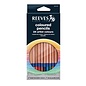 Reeves Coloured pencils 12 artist colours