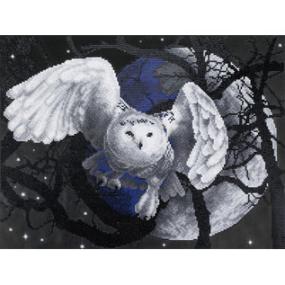 Daimond Painting Flaying Owl