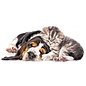 Printed Aida Collection d'Art hond en kat 40x18cm