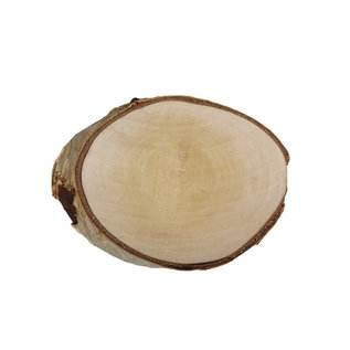 Houten schijf berk rond natuur 15-17cm x 2cm