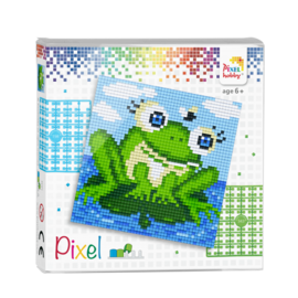 Pixel set - Kikker