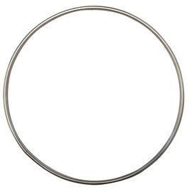 Metalen dromenvanger ring RVS 10cm