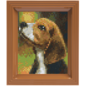 Pixelpakket - Beagle - met 35 pixelmatjes