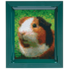 Pixelpakket - Cavia met 40 pixelmatjes
