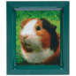 Pixelpakket - Cavia met 40 pixelmatjes