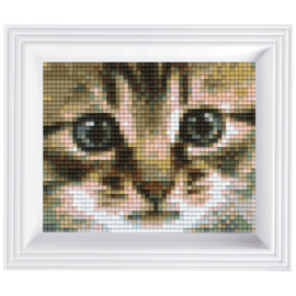 Pixelpakket poezenblik
