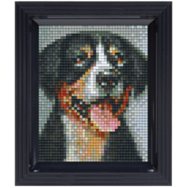 Pixelpakket - Zwitserse sennenhond met 27 pixelmatjes