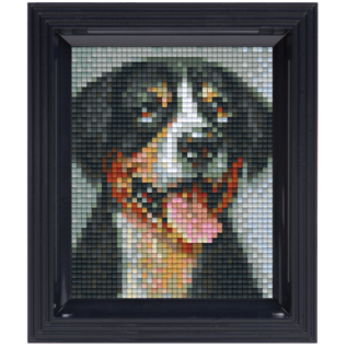 Pixelpakket Swiss Mountain Dog