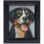 Pixelpakket Swiss Mountain Dog