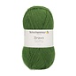 Schachenmayr SMC Bravo Softy 50g 08191 groen bad 215237