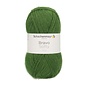 Schachenmayr SMC Bravo Softy 50g 08191 groen bad 215237