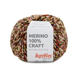 Merino 100% Craft 205 multi bad 28660