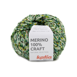 Merino 100% Craft 200 vert bad 28656