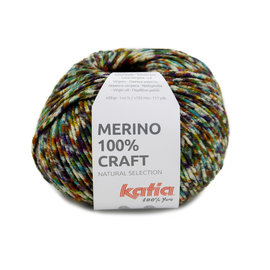 Merino 100% Craft 206 multi bad 28657