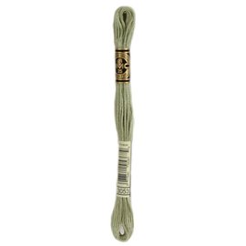 DMC mouliné spécial 3053