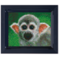 Pixelpakket - Doodskop-aapje met 36 pixelmatjes