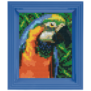Pixelpakket - papegaai