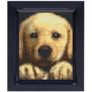 Pixelpakket - Goldenretriever