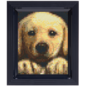 Pixelpakket - Goldenretriever