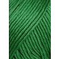 Lang Yarns JOY 0016 Groen bad 71917 50gr.