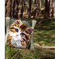 Kruissteekkussen kit Bruine poes