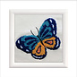 Small Punch met frame wit Blue Butterfly