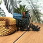 Bobbiny Junior 3mm 100m Sand