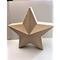 Ecoshape Ster staand 3D 20x20x9cm