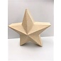 Ecoshape Ster staand 3D 15x15x8cm