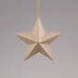 Ecoshape Ster om op te hangen 13cm