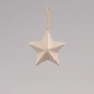 Ecoshape Ster om op te hangen 5cm