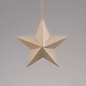 Ecoshape Ster om op te hangen 8cm