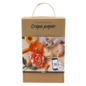 Crepe-Papier Bloemen Kit
