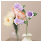 Crepe-Papier Bloemen Kit