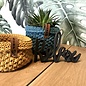 Bobbiny Bobbiny Junior 3mm Mustard