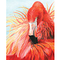 Kleuren op nummer - CPN - FLAMINGO