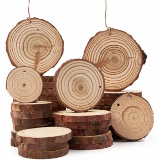10 houten schijven met ophangoog ca. 5-10cm