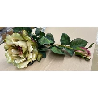 Rozenpluk 2 bloemen 65cm