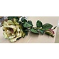 Rozenpluk 2 bloemen 65cm