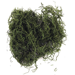 Jungle Moss, groen, 20 g