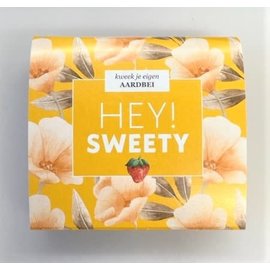 Hey! Sweety - Kweek je eigen aardbei