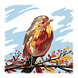 Schilderen op nummer canvas 35cm x 35cm - Fall Bird